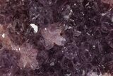 Dark Purple Amethyst Cluster - Alacam Mine, Turkey #347606-1